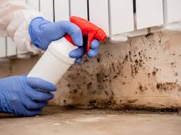 Best Crawl Space Mold Remediation  in Prairie View, TX